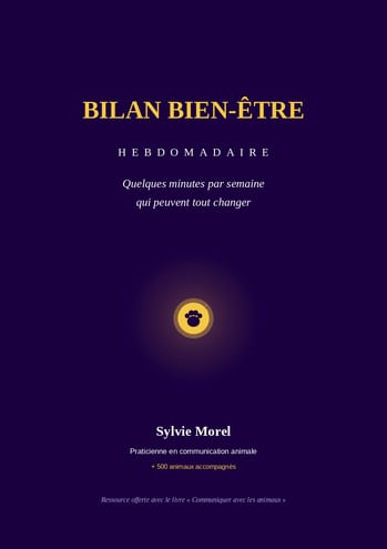 Bilan bien-être hebdomadaire